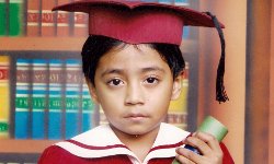 在线手机号轰炸工具